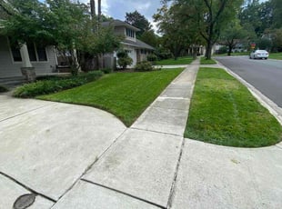Janice S.'s Lawn Mowing service result