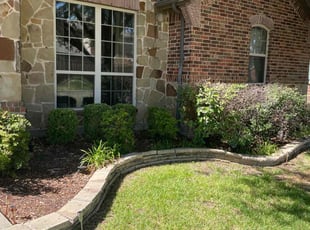 Weeding by Jose Rodriguez for Ken C. in Rowlett, TX