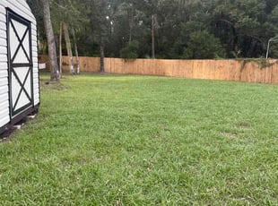 Courtney P.'s Lawn Mowing service result