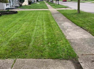 Scott W.'s Lawn Mowing Service service result