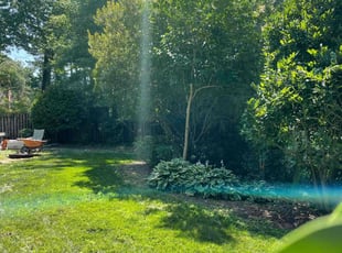 Bush Trimming by Stacey Lewis for Amy P. in Virginia Beach, VA