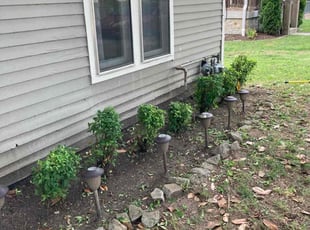 Bush Trimming by Shawn Alsup for Andrew H. in Nashville, TN
