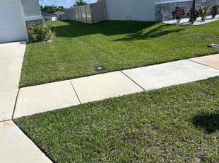 Gregory L.'s Yard Cutting service result