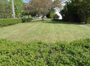 Nate H.'s Lawn Mowing Service service result