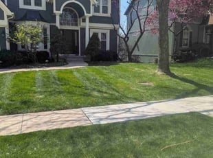 Jason E.'s Lawn Maintenance service result