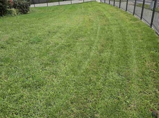 Ira L.'s Grass Cutting service result