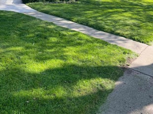 Kassy H.'s Lawn Maintenance service result