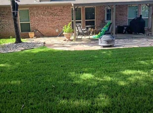 Alberto B.'s Lawn Care service result