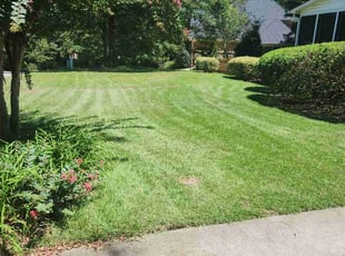 Charna M.'s Lawn Maintenance service result