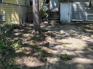 Leaf Removal by Mike Brooks for Erica R. in Chicago, IL