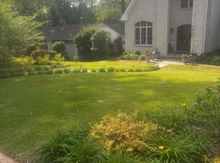 Carace M.'s Grass Cutting service result