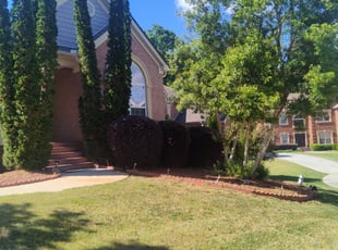 Bush Trimming by Kimberly Harris for Anthony M. in Conyers, GA