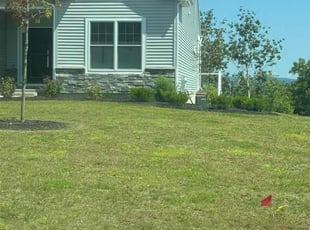Amy S.'s Lawn Maintenance service result