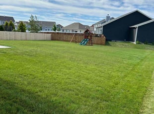 Tiffini B.'s Lawn Mowing service result