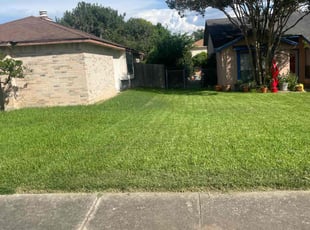 Venita Y.'s Yard Cutting service result
