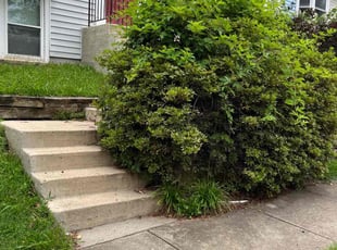 Bush Trimming by Alesandre Duarte for Winter M. in Herndon, VA