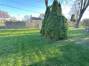 Marvin M.'s Lawn Service service result