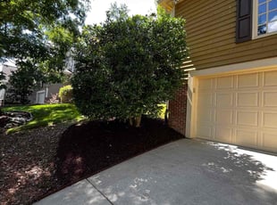 Mulching by Caitlin Hough for Dana J. in Durham, NC