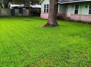 Raymond F.'s Lawn Care service result