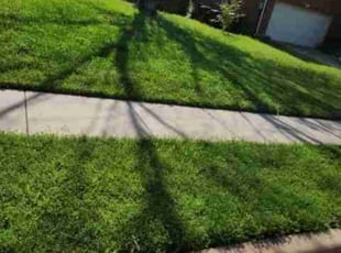 JD F.'s Lawn Mowing service result