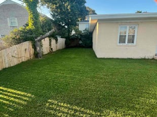 Alyson S.'s Yard Cutting service result
