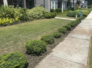 Natalie P.'s Lawn Care service result
