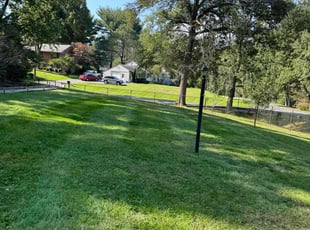 Kyle S.'s Grass Cutting service result
