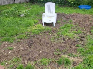 Cleanups by Chris M for Melody A. in Livonia, MI