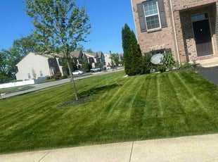 William N.'s Lawn Mowing service result