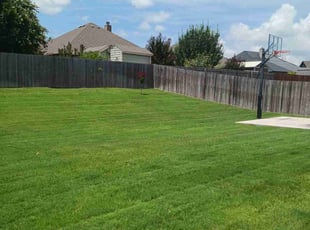Lee G.'s Grass Cutting service result
