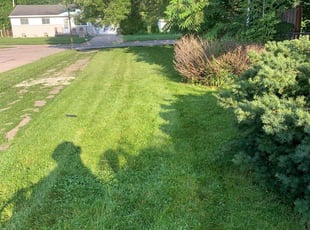 Cleanups by Kyle Yacko for Andralita L. in Roseville, MI