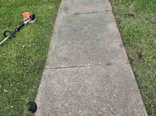 Brian N.'s Lawn Mowing service result