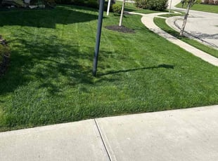 David T.'s Grass Cutting service result