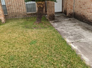 Bush Trimming by Yanet Maciel for Deardre W. in Missouri City, TX