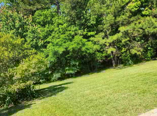 Vineet M.'s Lawn Mowing Service service result
