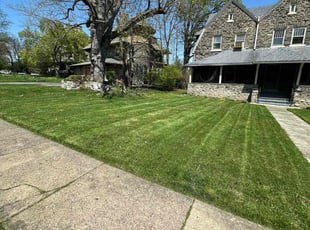 Michelle B.'s Grass Cutting service result