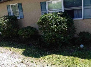 Bush Trimming by James Kasperowski for Alector C. in Dickson City, PA