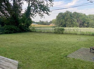LaTanya R.'s Grass Cutting service result