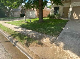 Saralee S.'s Lawn Service service result