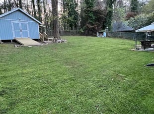 Tana H.'s Lawn Mowing service result
