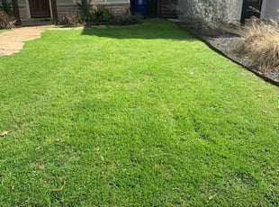 Kelly L.'s Lawn Mowing service result