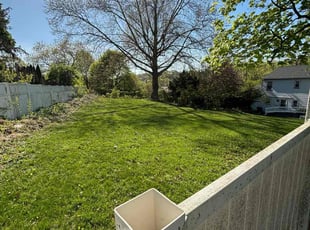 Anita R.'s Lawn Mowing service result