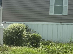 Bush Trimming by Christopher Hammond for Morgan W. in Lexington, SC