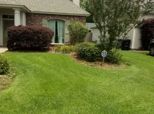 Bush Trimming by Gregory Lewis for Yoon Ha L. in Baton Rouge, LA