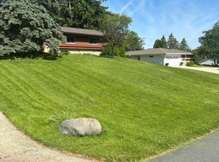Keke C.'s Lawn Care service result