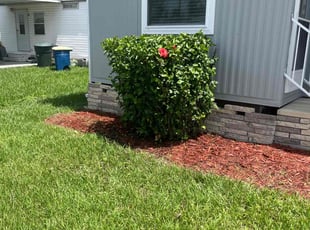 Bush Trimming by Johnny Richardson for Margaret H. in Bartow, FL