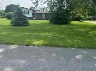 Tonya M.'s Lawn Maintenance service result