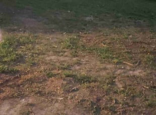 Cleanups by Alley Parker for Jack S. in Thornton, CO