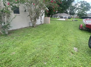 Ritania R.'s Lawn Mowing Service service result