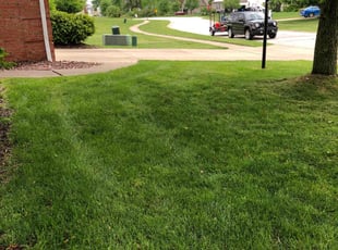 Doug J.'s Lawn Mowing service result